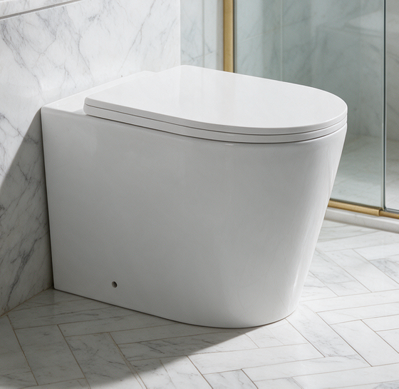 WALL FACED - INWALL TOILETS