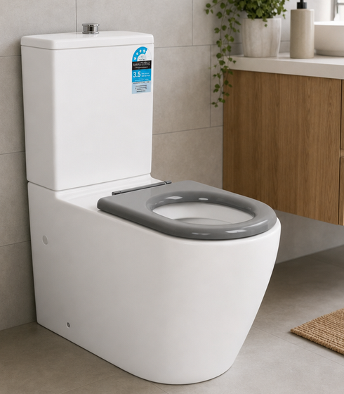 CARE / ACCESSIBLE TOILETS
