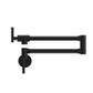 Zen 316L SS Pot Filler Pvd Black