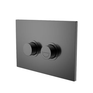 Raised Care Pneum Flush Button DDA GM