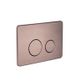 In Wall Toilet Push Plate BZ