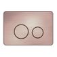 In Wall Toilet Push Plate BZ