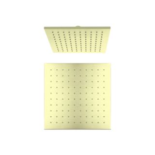 250 Square Shwr Head BG