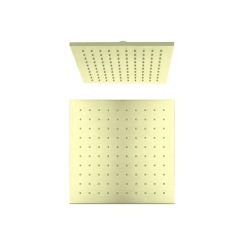 250 Square Shwr Head BG