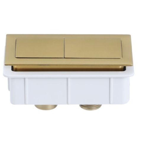TS022 BW Flush Button Square Brushed Gol