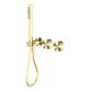 Kara Progressive Shower System Separate Plate Brushed Gold