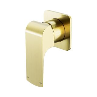 Elgin Shower Mixer Square Back Plate Brushed Gold