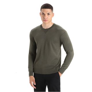 Icebreaker Men's Cool-lite Merino Nova Sweater Sweatshirt - Loden