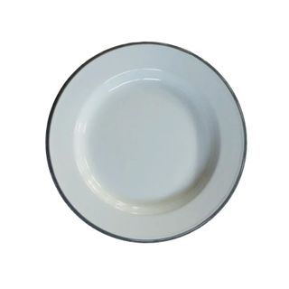 Falcon Enamel Plate 26cm Duck Egg