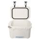 Companion 15l Ice Box