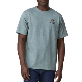 Patagonia Men's Take A Stand Responsibili-tee - Bayou Badge: Thermal Blue