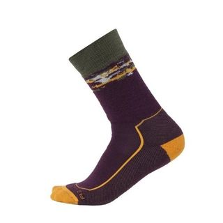 Icebreaker Men's Crew Hike - Medium Cushion - Nightshade / Solar