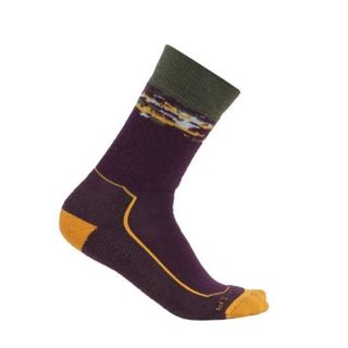 Icebreaker Men's Crew Hike - Medium Cushion - Nightshade / Solar