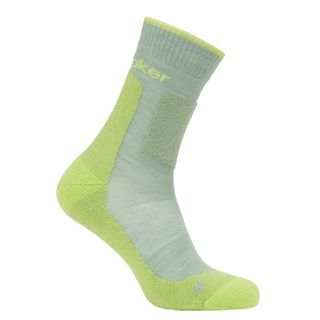 Icebreaker Men's Crew Hike - Light Cushion - Seaglass / Peridot