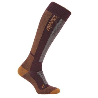 Icebreaker Men's - Over The Calf - Ski - Medium Cushion - Java / Trail / Seaglass