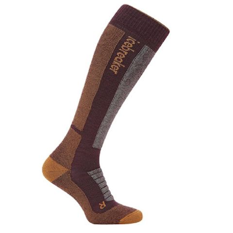 Icebreaker Men's - Over The Calf - Ski - Medium Cushion - Java / Trail / Seaglass