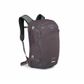 Osprey Nebula 32 Graphite / Purple O/s