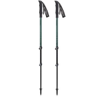 Masters Pathfinder Poles Sage