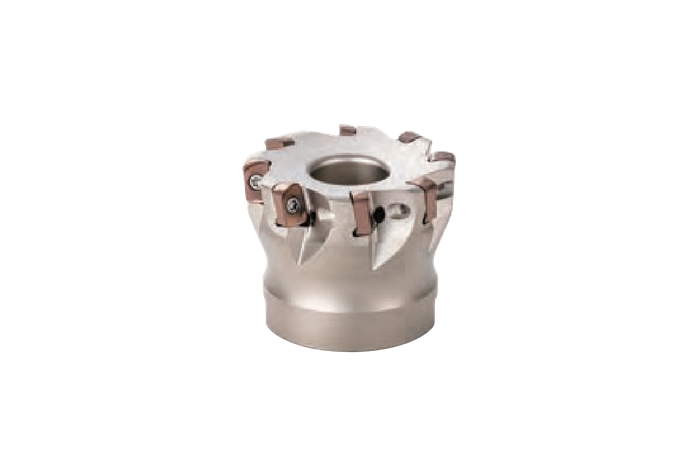 DMSL 06000 - Facemill Bodies