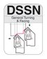 DSSN