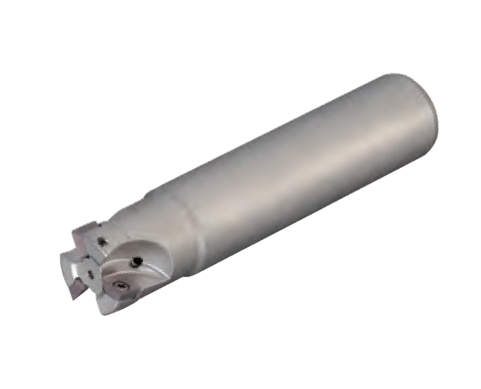 WFX 08000 Endmill Bodies