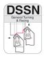 DSSNR/L