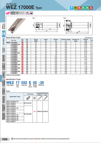 WEZ 17000 Indexable Endmill Bodies
