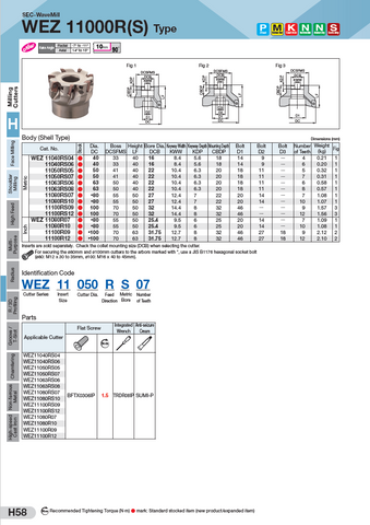 WEZ 11000 Facemill Bodies