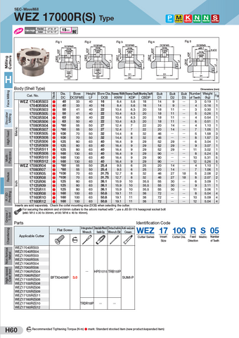 WEZ 17000 Facemill Bodies