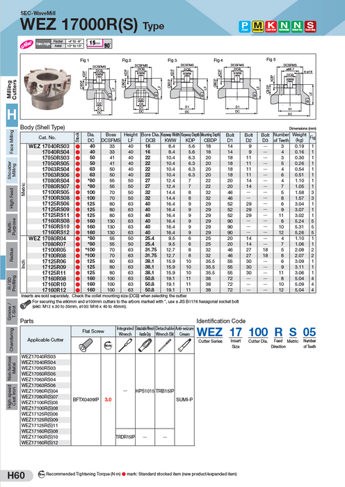WEZ 17000 Facemill Bodies
