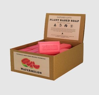 Nature's Gift Watermelon Soap Bar 100g (box of 36)