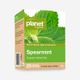 Planet Organic Tea Spearmint 25 Tea Bags