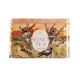 Koala Tea Tin Tea Blend Mixed of  25 Tea Bags