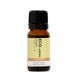 ECO. Modern Essentials Essential Oil Ginger