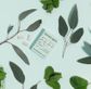 Honest Gum Eucalyptus Mint Chewing Gum 15pcs (21g) x 20