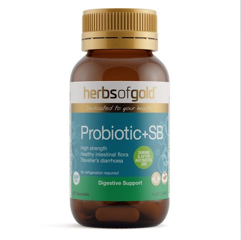 Herbs of Gold Probiotic + SB High Strength