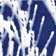 Explore the Magic of Cyanotype Printing: Create Beautiful Blue Prints at Home!