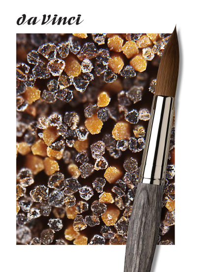 Ultra close-up of the da Vinci Colineo paint brush