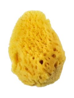 ROYAL SEA SPONGES