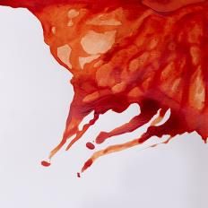 W&N DRAWING INK 14ML BURNT SIENNA