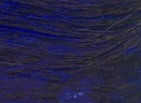 WILLIAMSBURG OIL 37ML INDANTHRONE BLUE