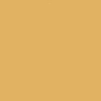 NEOCOLOR I CRAYON 899 METALLIC DARK GOLD