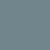 NEOCOLOR I CRAYON 005 GREY