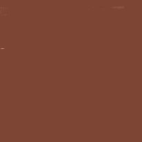 NEOCOLOR I CRAYON 059 BROWN