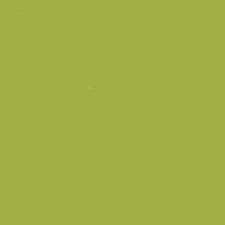 NEOCOLOR I CRAYON 245 LIGHT OLIVE