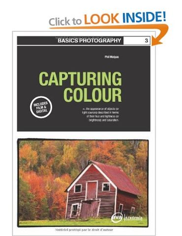 BASICS PHOTOGRAPHY 03: COLOUR