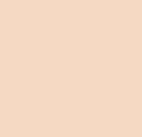 W&N BRUSHMARKER DUSKY PINK (O518)