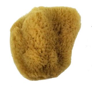 ROYAL SEA SILK SPONGE 2.5"-3" PKT 1