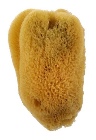 ROYAL SEA SILK SPONGE 3"-3.5" PKT 1