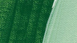 SCHMINCKE AKADEMIE ACRYLIC 250ML LEAF GREEN